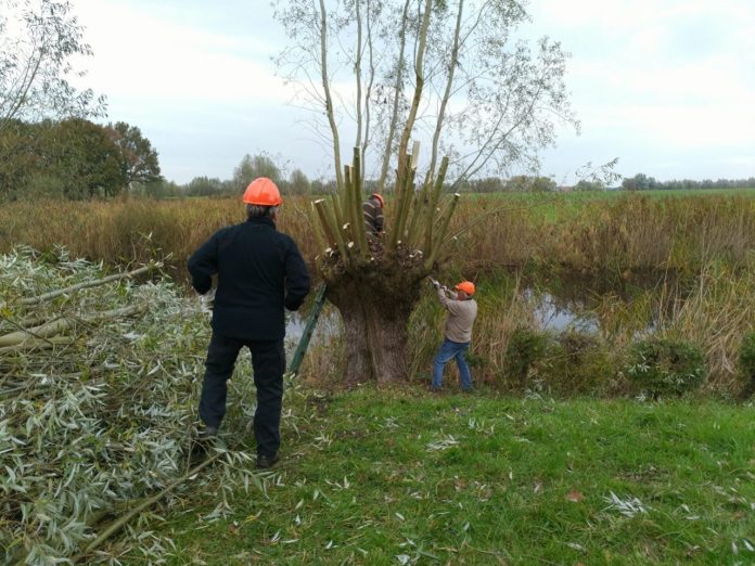 0242221_Natuurwerkdag_Doesburg.jpg