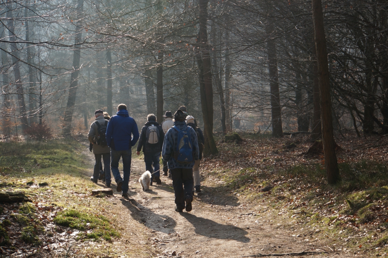 Wandeling naar hoogste punt Veluwe » Regiobode Wandeling naar hoogste punt Veluwe » Regiobode