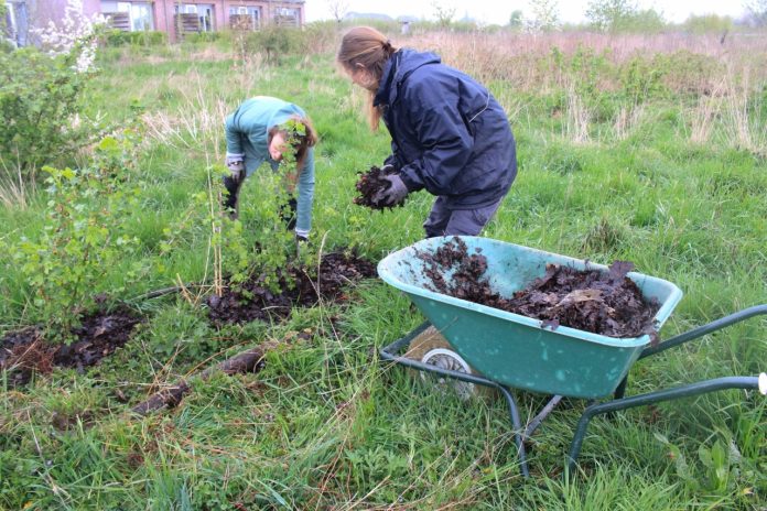 Aan de slag in Brummens voedselbos » Regiobode