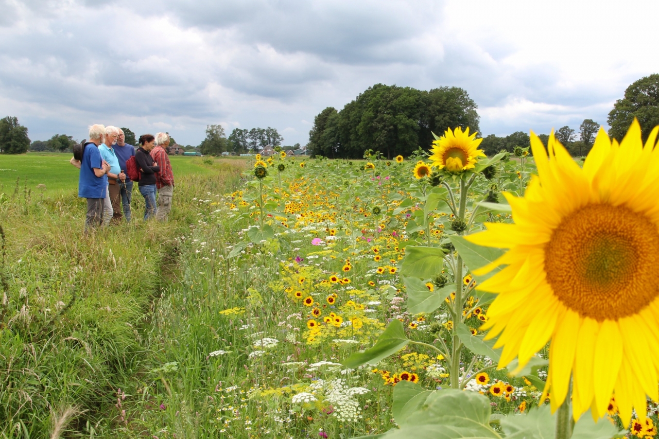Eerste open dag bij Land van Ons in Empe