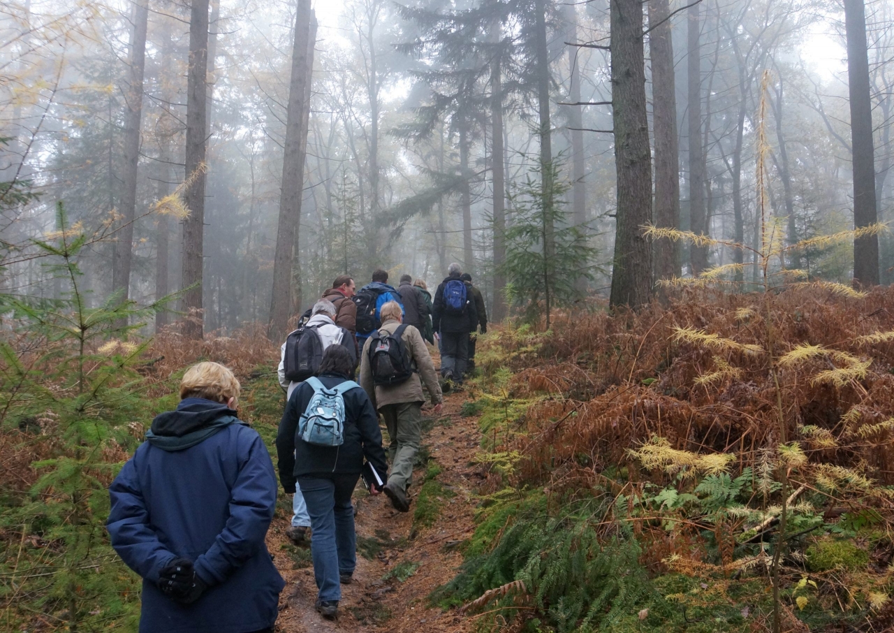 IVN sylvesterwandeling in Ellecom