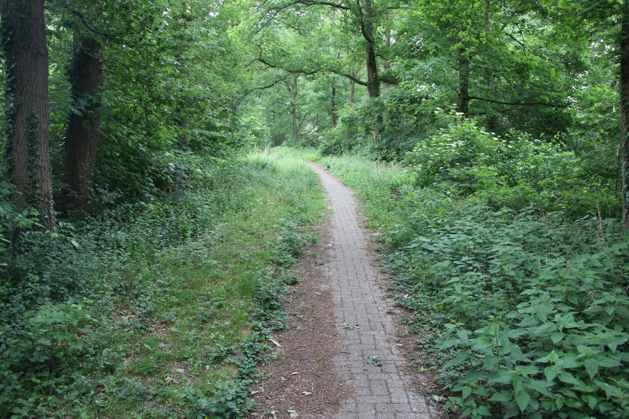 IVN Wandeling door Dieren Noord-Oost