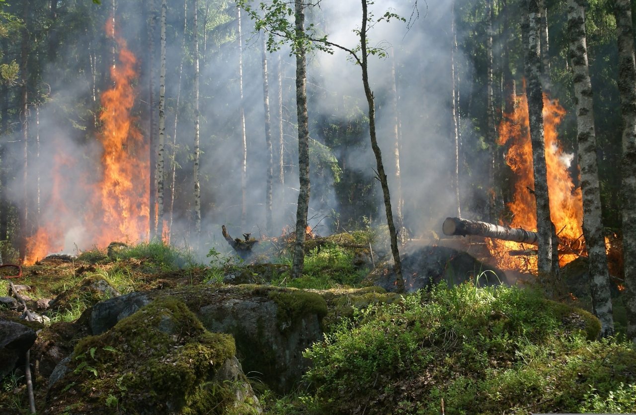 Voorlichting over natuurbranden