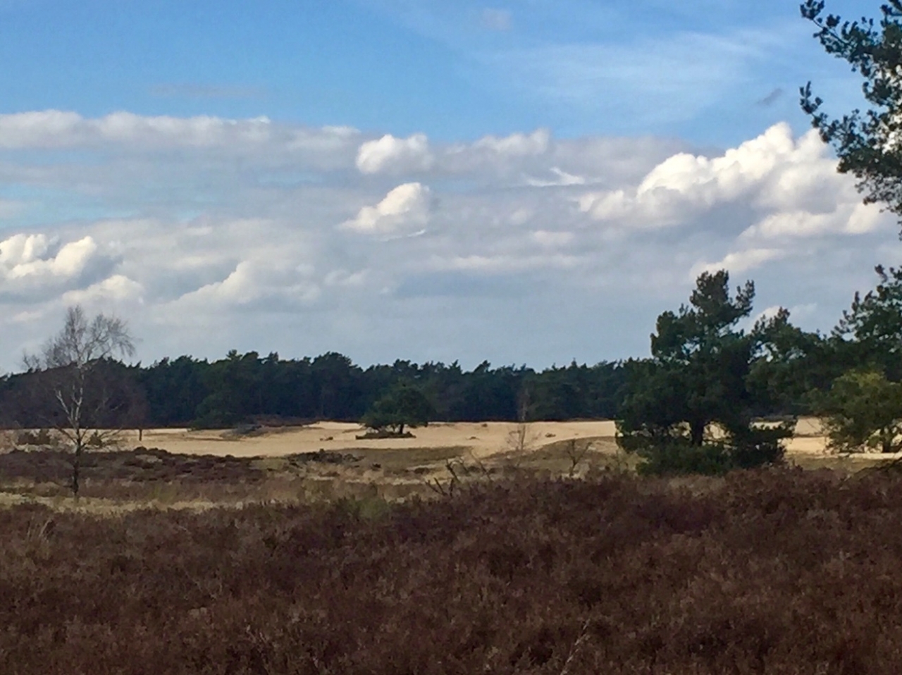 Fit op het werk met IVN-ochtendwandeling