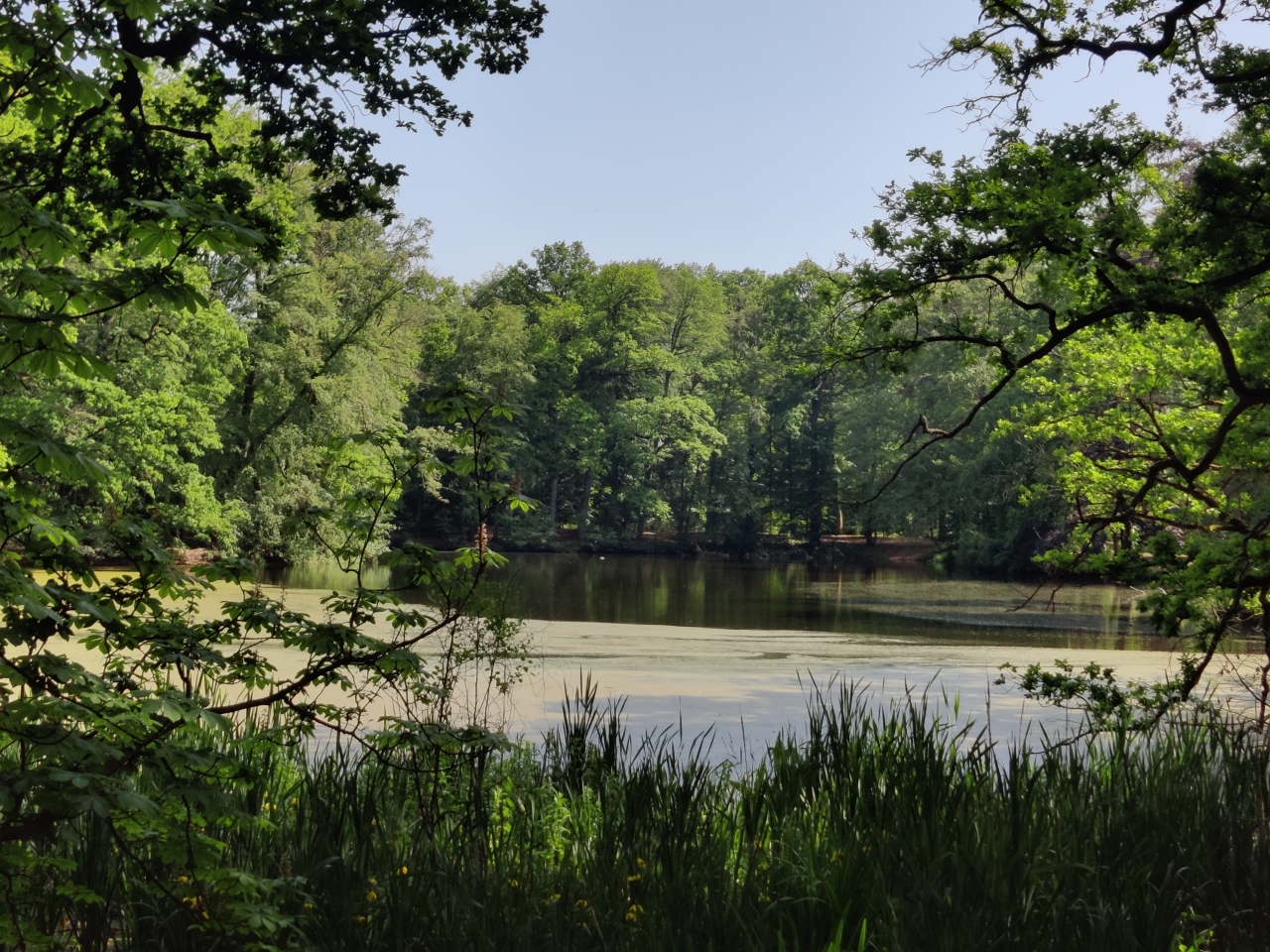 Groene lentewandeling rondom Voorst