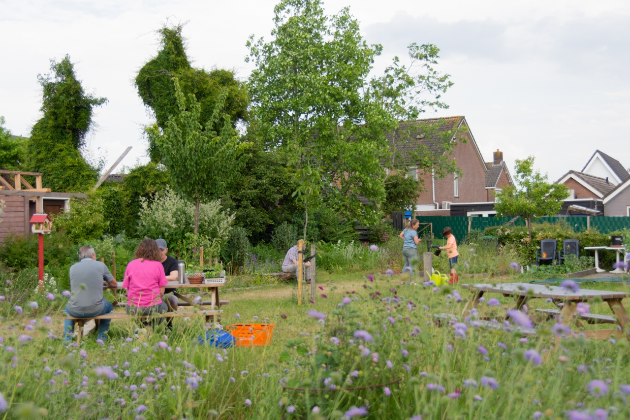 Rondje Zoom verbindt ecologische tuinen en voedselinitiatieven
