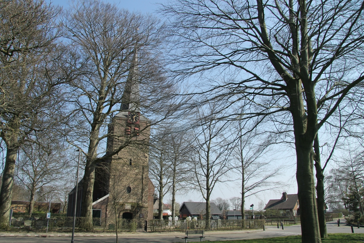 Liedjes van Toon in Spankeren