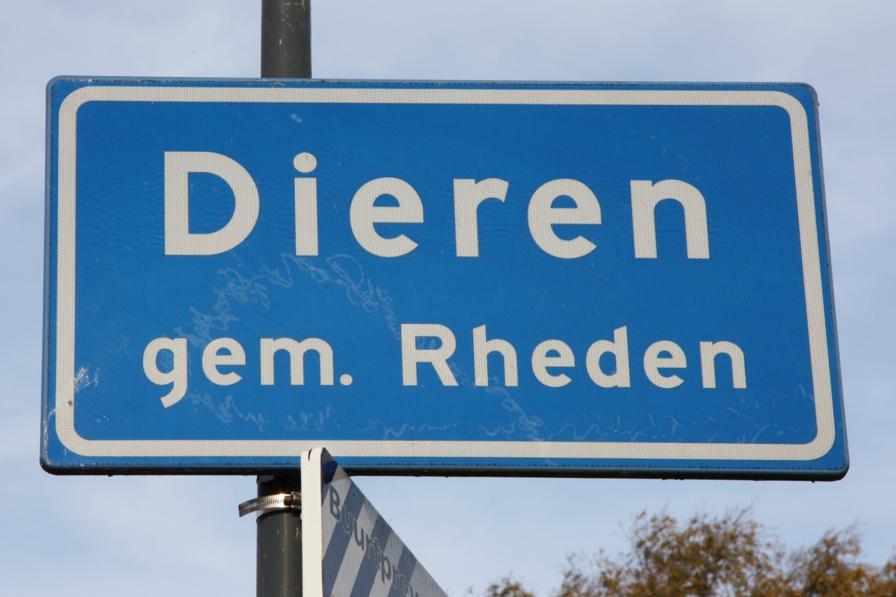 Verkeersregelaars nodig in Dieren
