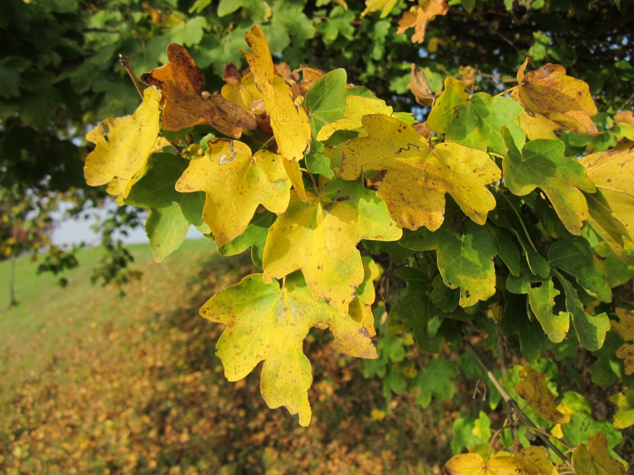 Excursie over landbouw en natuur