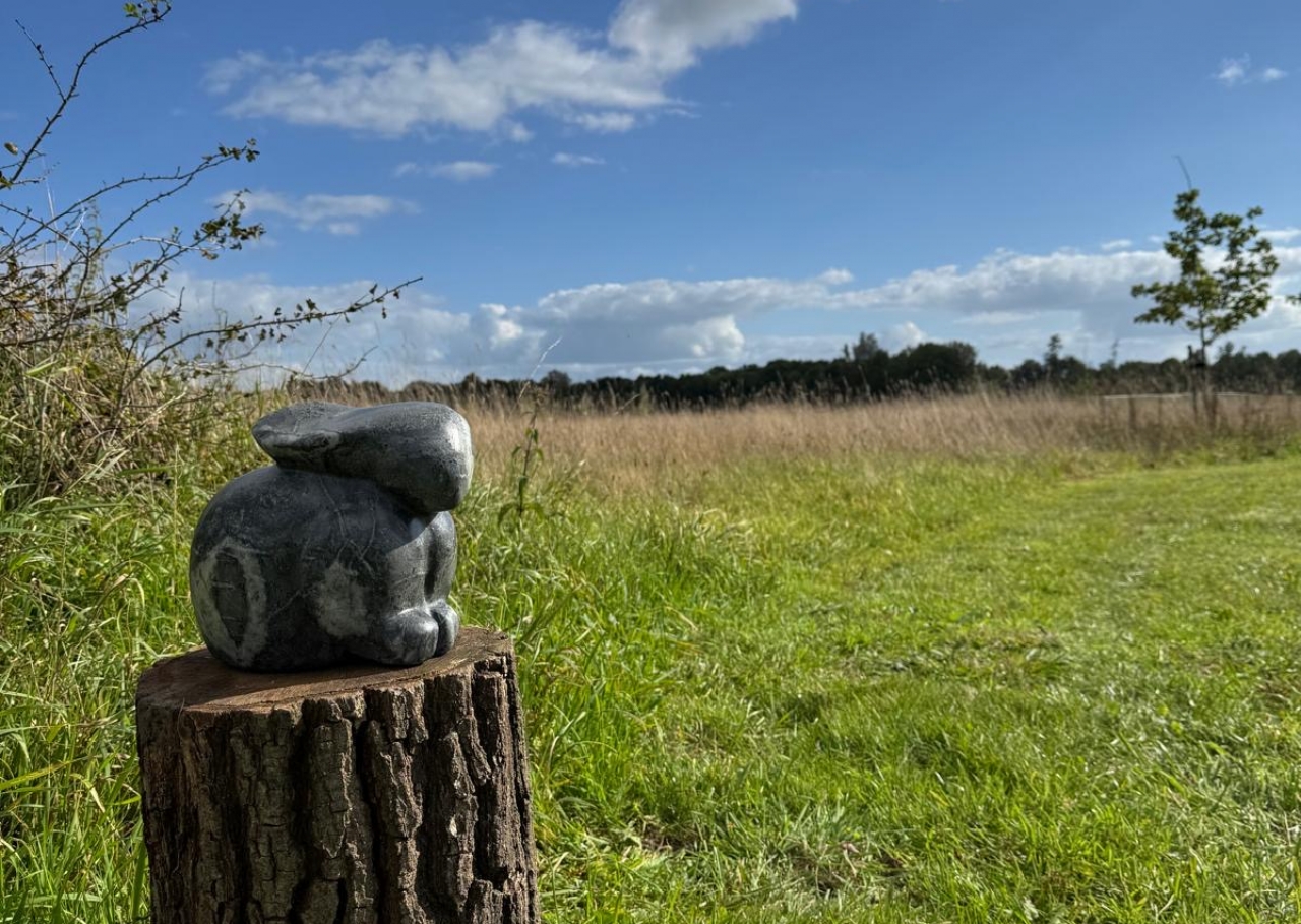 Kunstwandeling door Tuinen van Zigtrijk