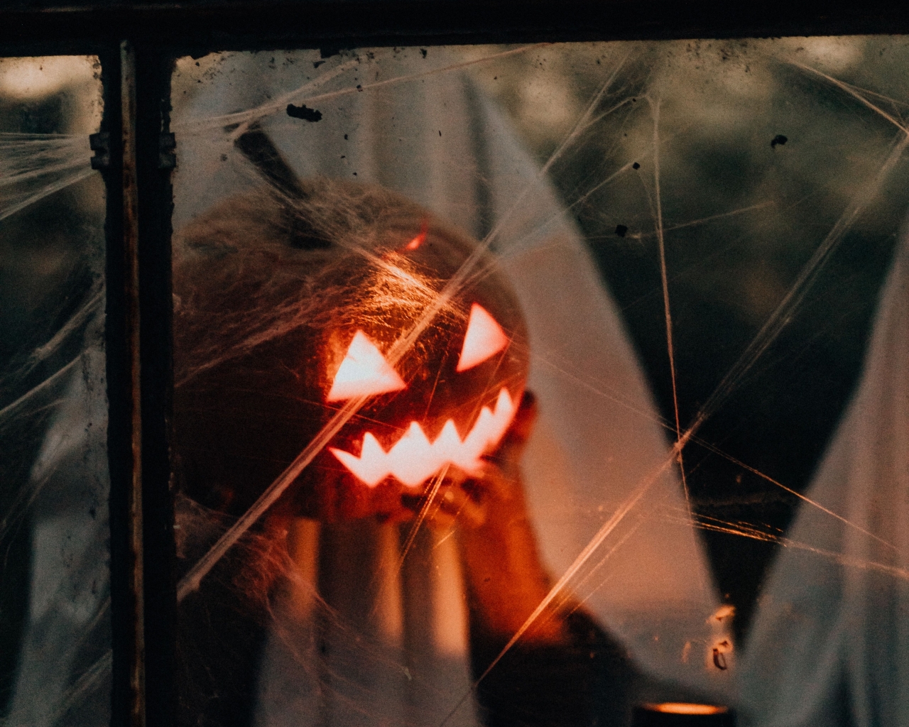 Kaartverkoop Halloween Dieren gestart