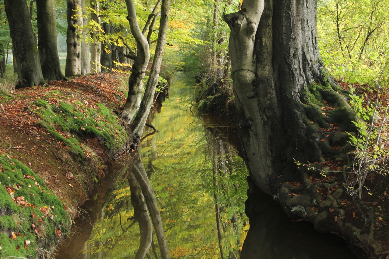 Wandeling langs de sprengen