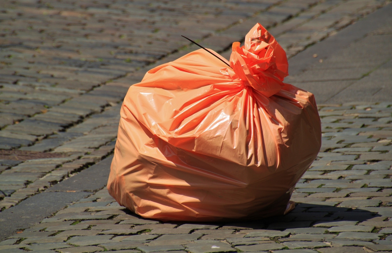 World Cleanup Day met Heel Velp Schoon