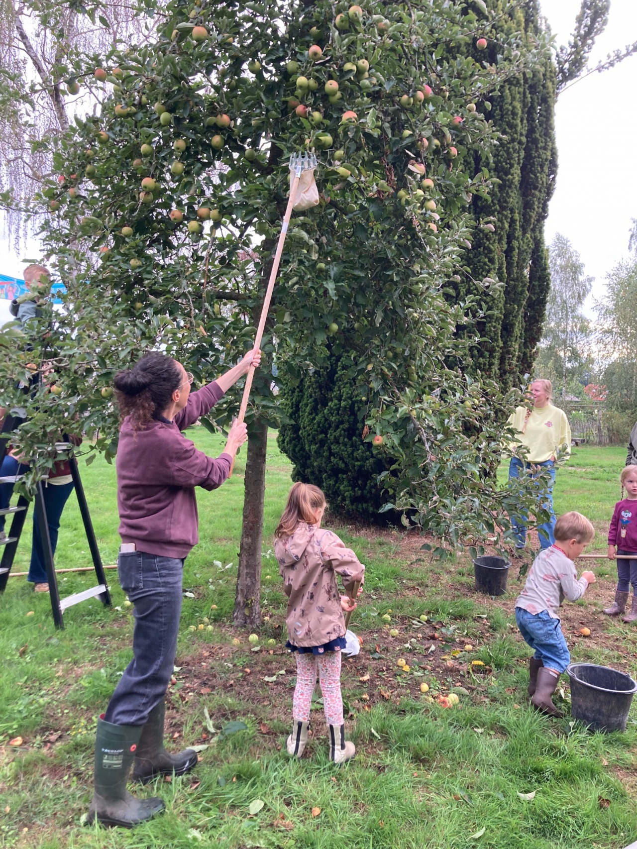 Appeltaart op De Rietgors