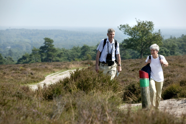 Sportief Wandelen Met Av Salland Salland Centraal