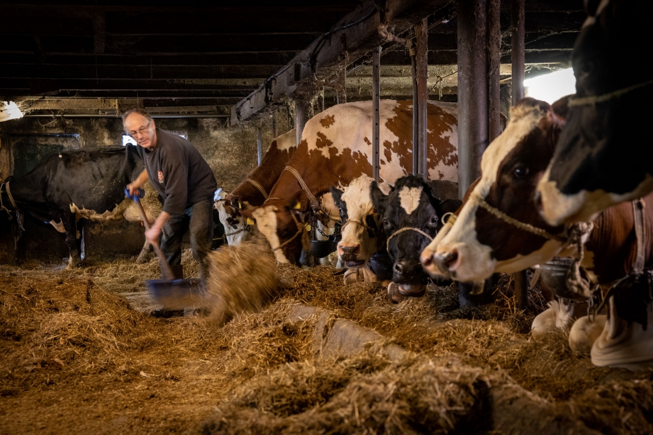 Boek ‘Puur Boeren’ geeft beeld van het echte boerenleven