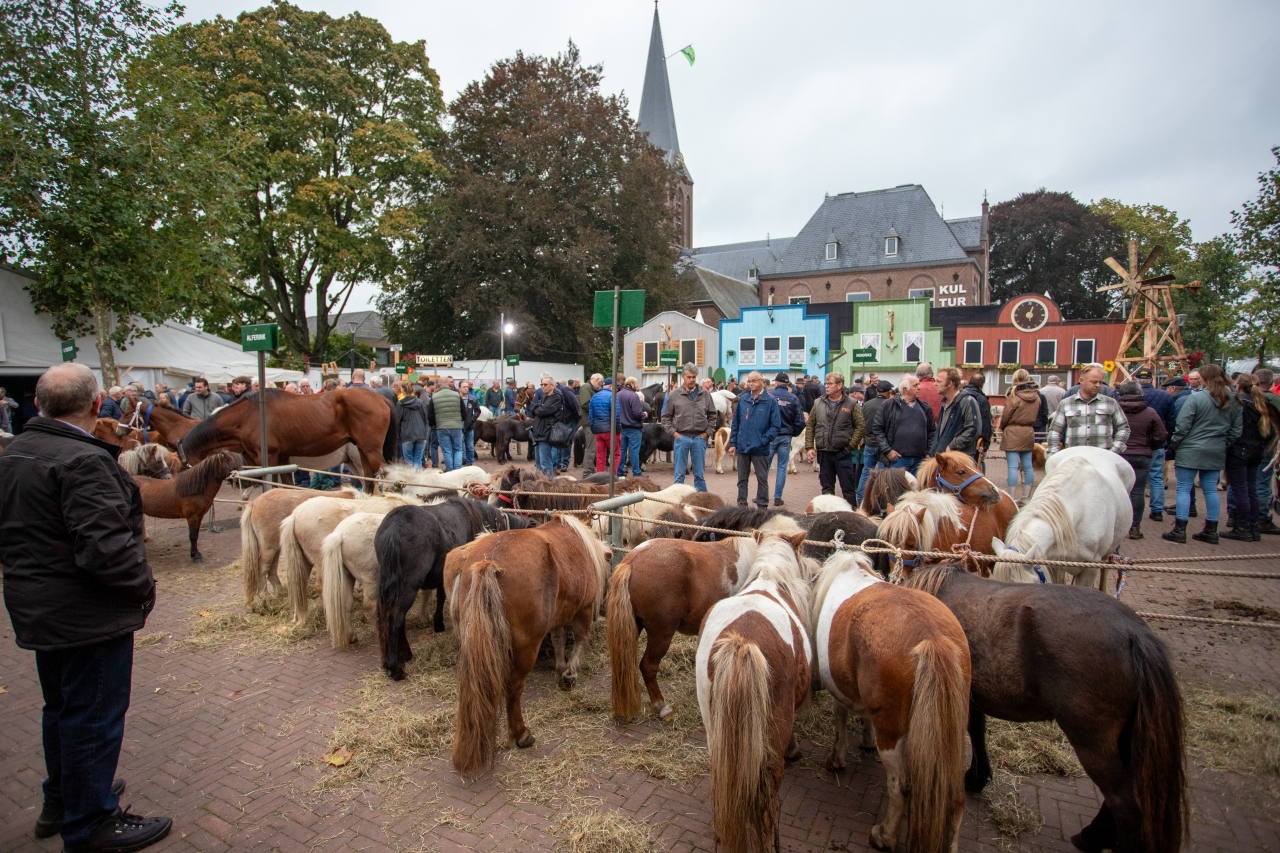 Ponyweek Heeten: ‘We hebben een grandioze week gehad’
