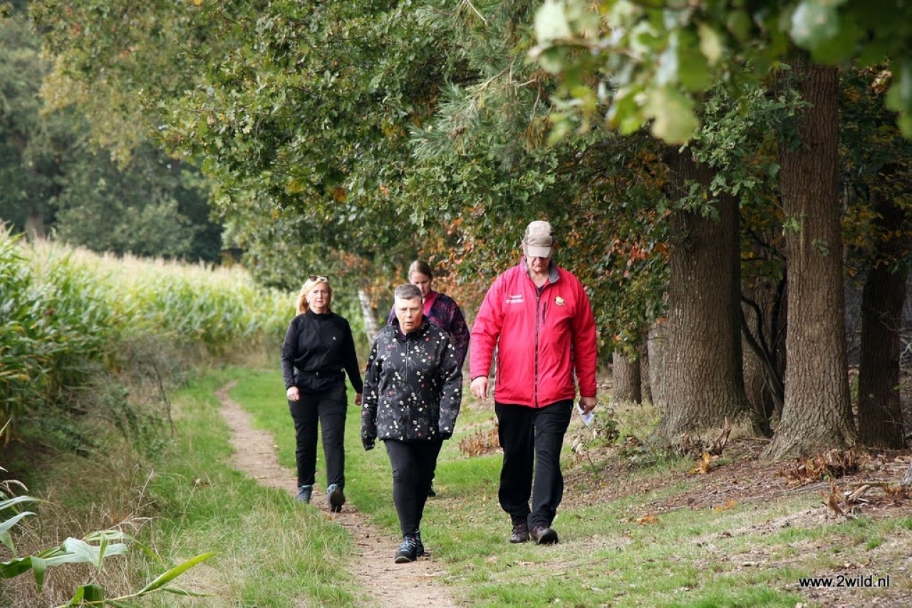 Lutenberg Herfstwandeling van Museum de Laarman » Salland Centraal