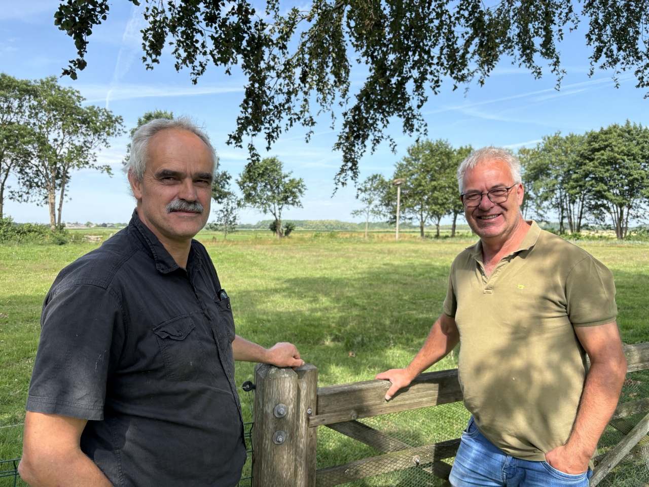 Beste weidevogelseizoen in tien jaar in Lierderbroek