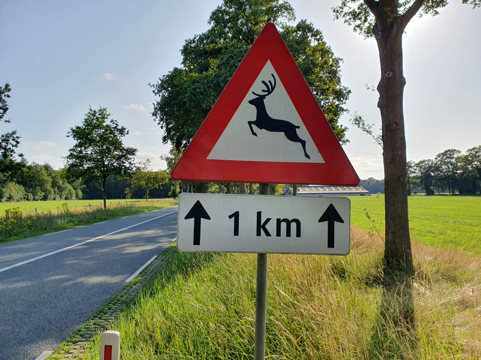 Politiek verwoord: Het recht van de snelste » Vechtdal Centraal