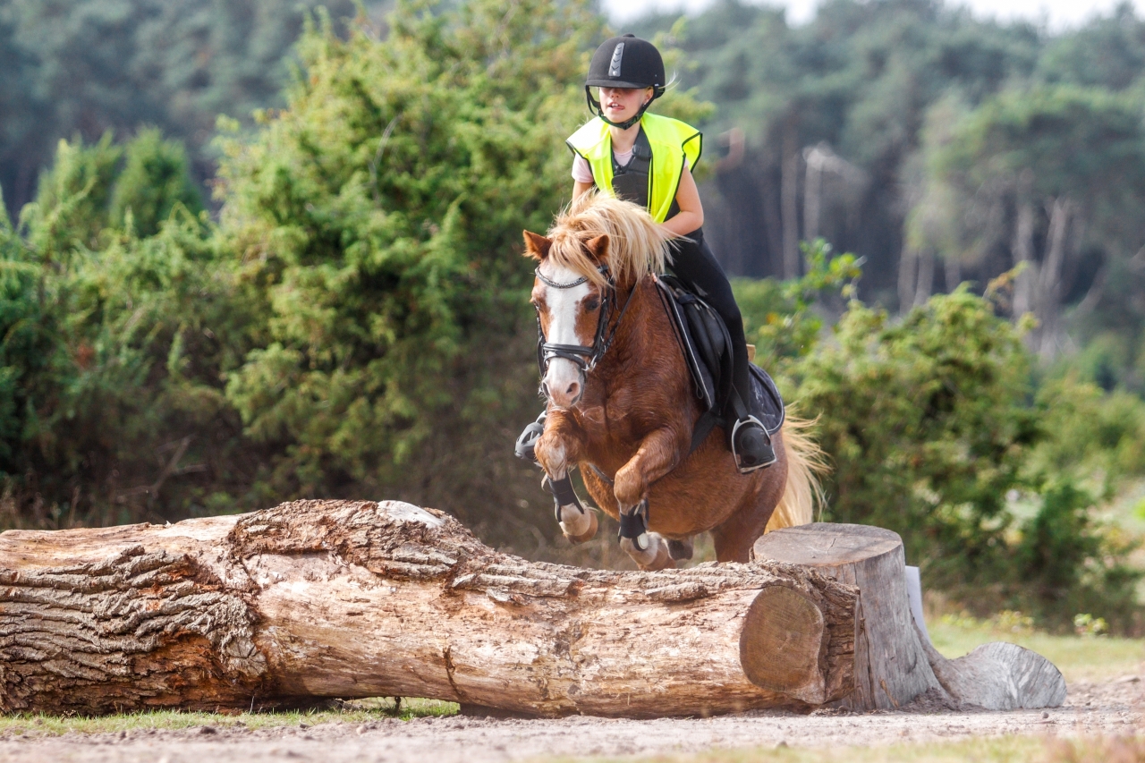Bergcross van de Bergruitertjes uit Lemele