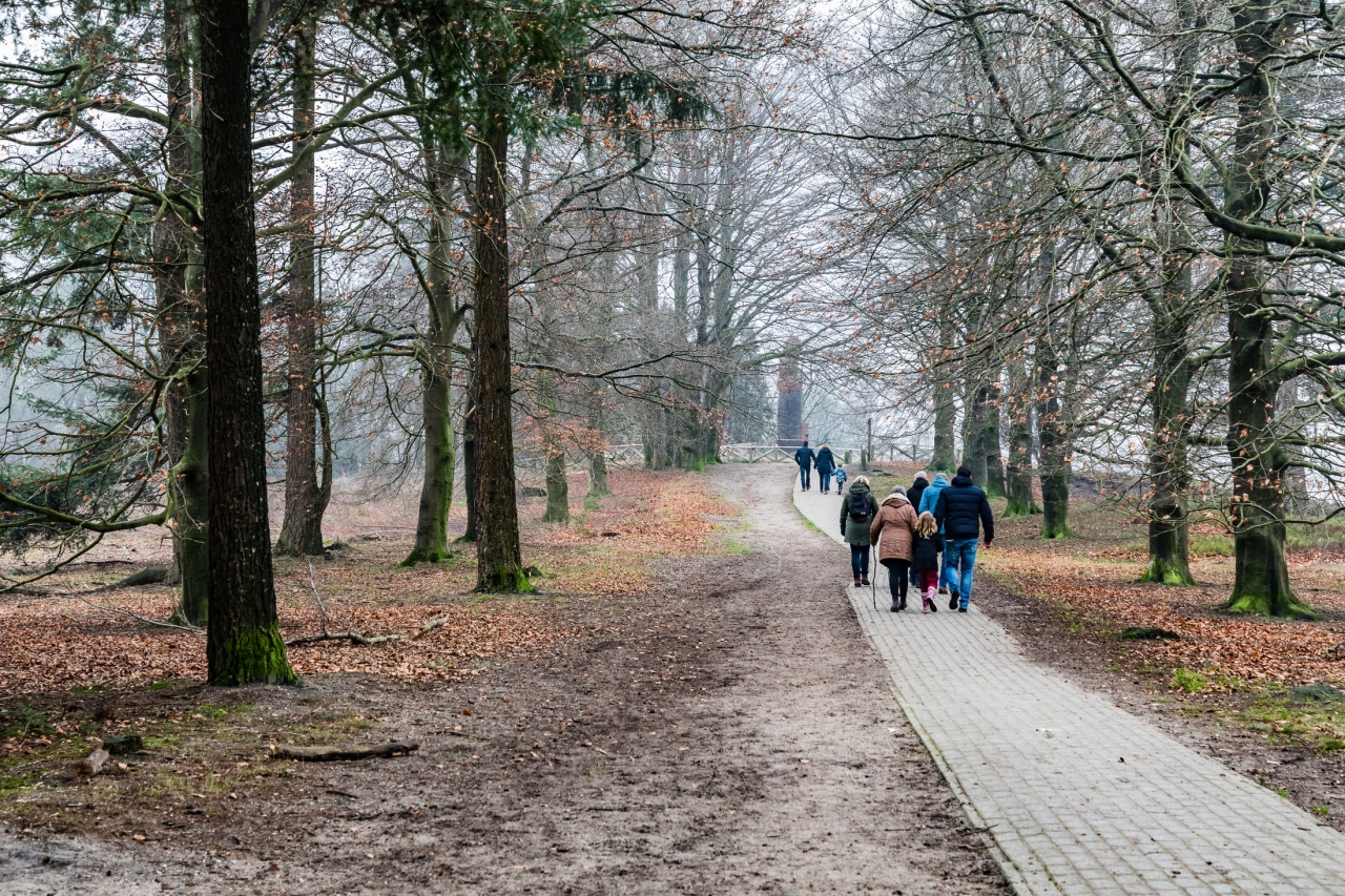 Nieuwjaarswandeling op de Lemeler- en Archemerberg
