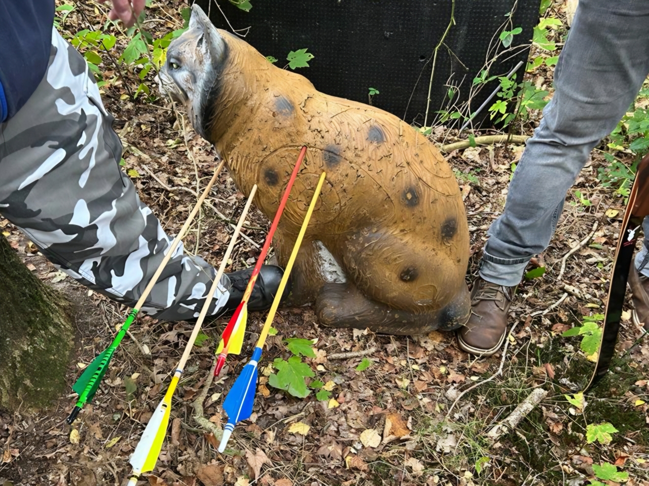 3D-boogschieten in de bossen bij Ommen